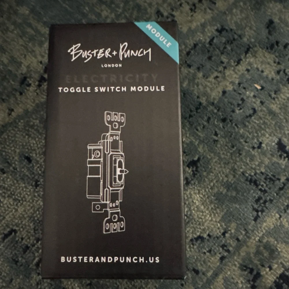 Buster + Punch Toggle Standard Switch Module 15A 125VAC 60Hz NTM-01384